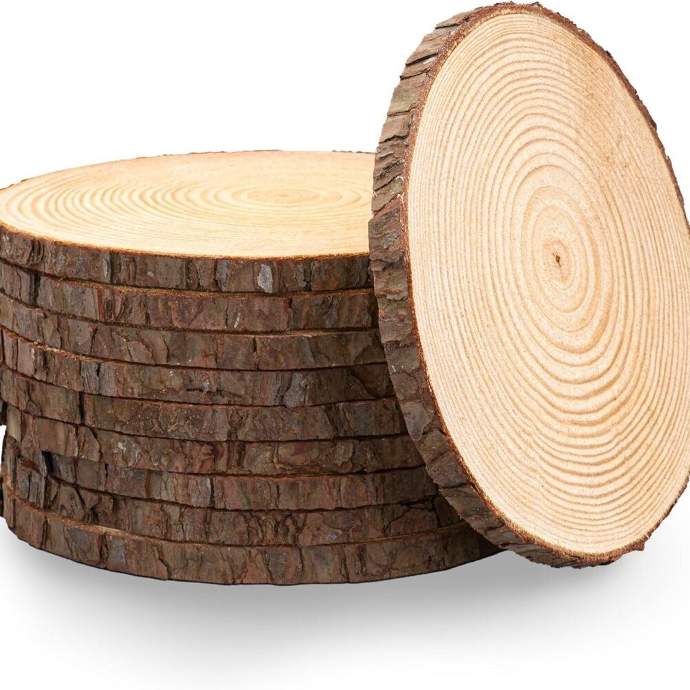 Set of 10 Wood Slices for centerpieces! Wedding and Baby Shower centerpieces Set